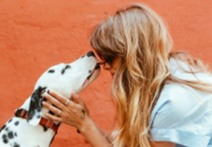 I cani riconoscono il volto del padrone anche in foto